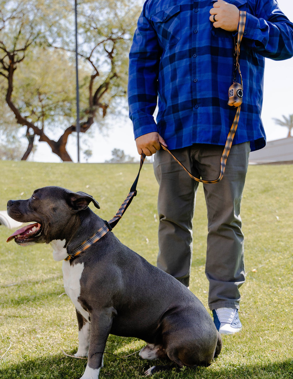 Polyester Dog Leash - My Brother's Keeper