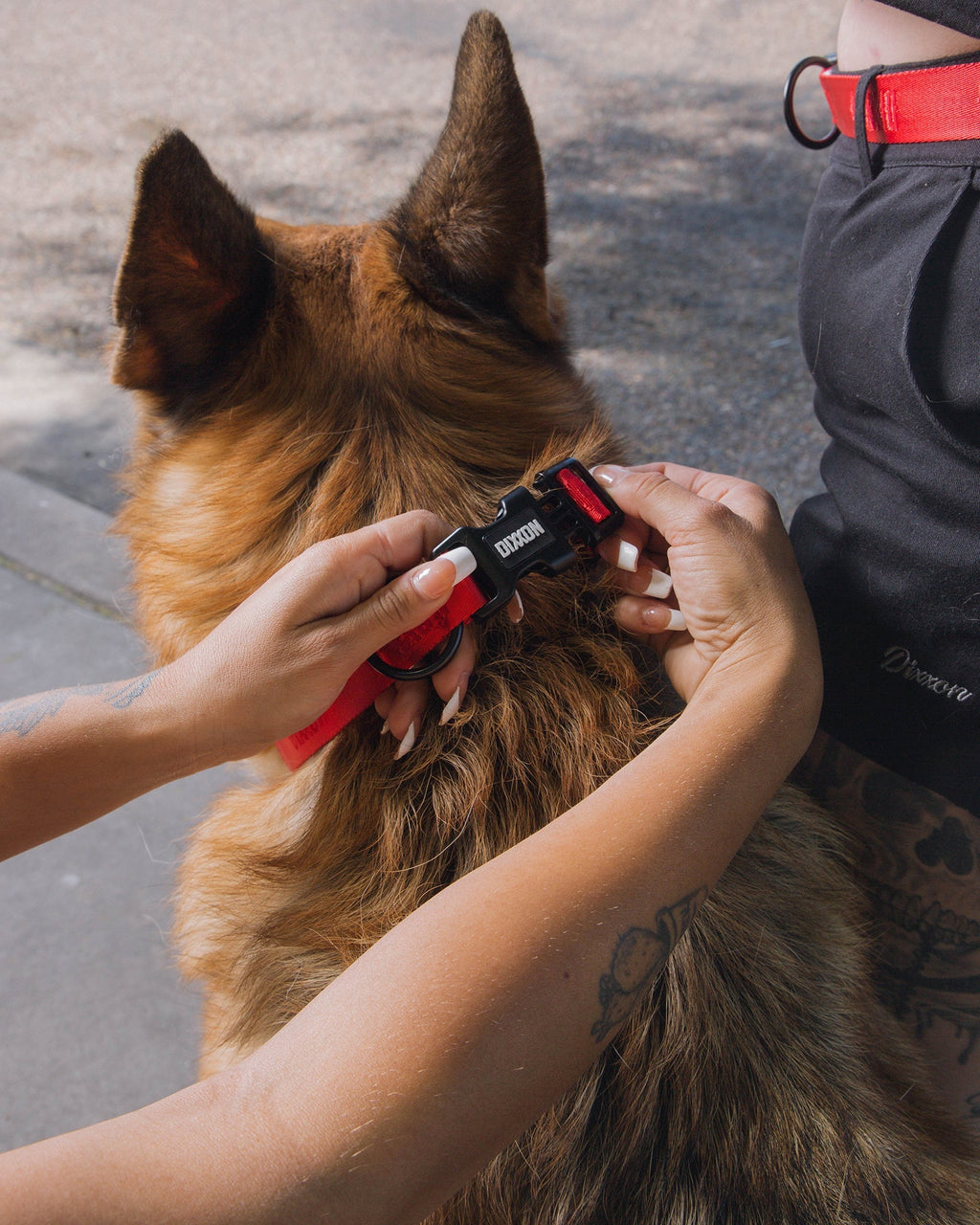 Dixxon Dog Collar - Red