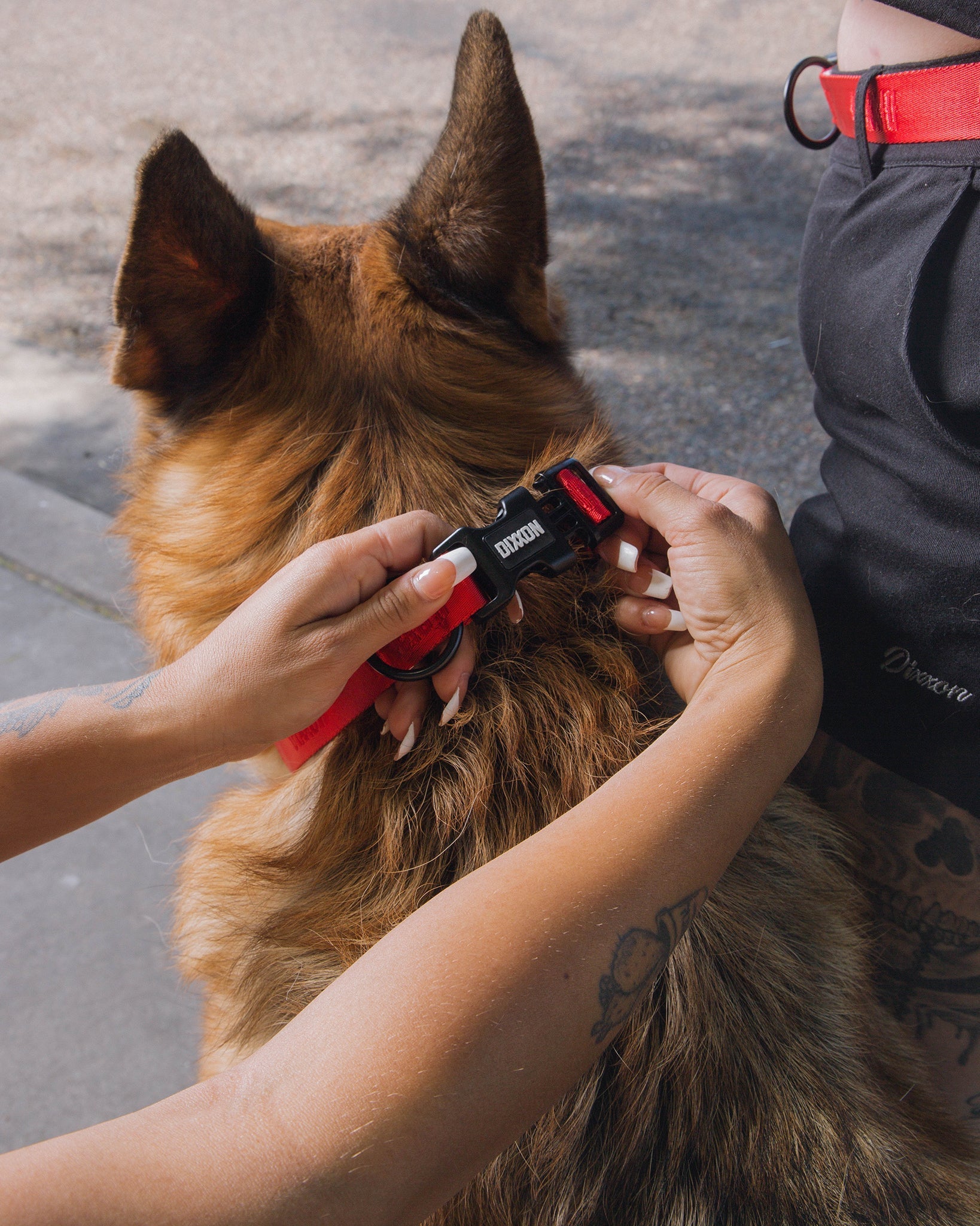 Dixxon Dog Collar - Red