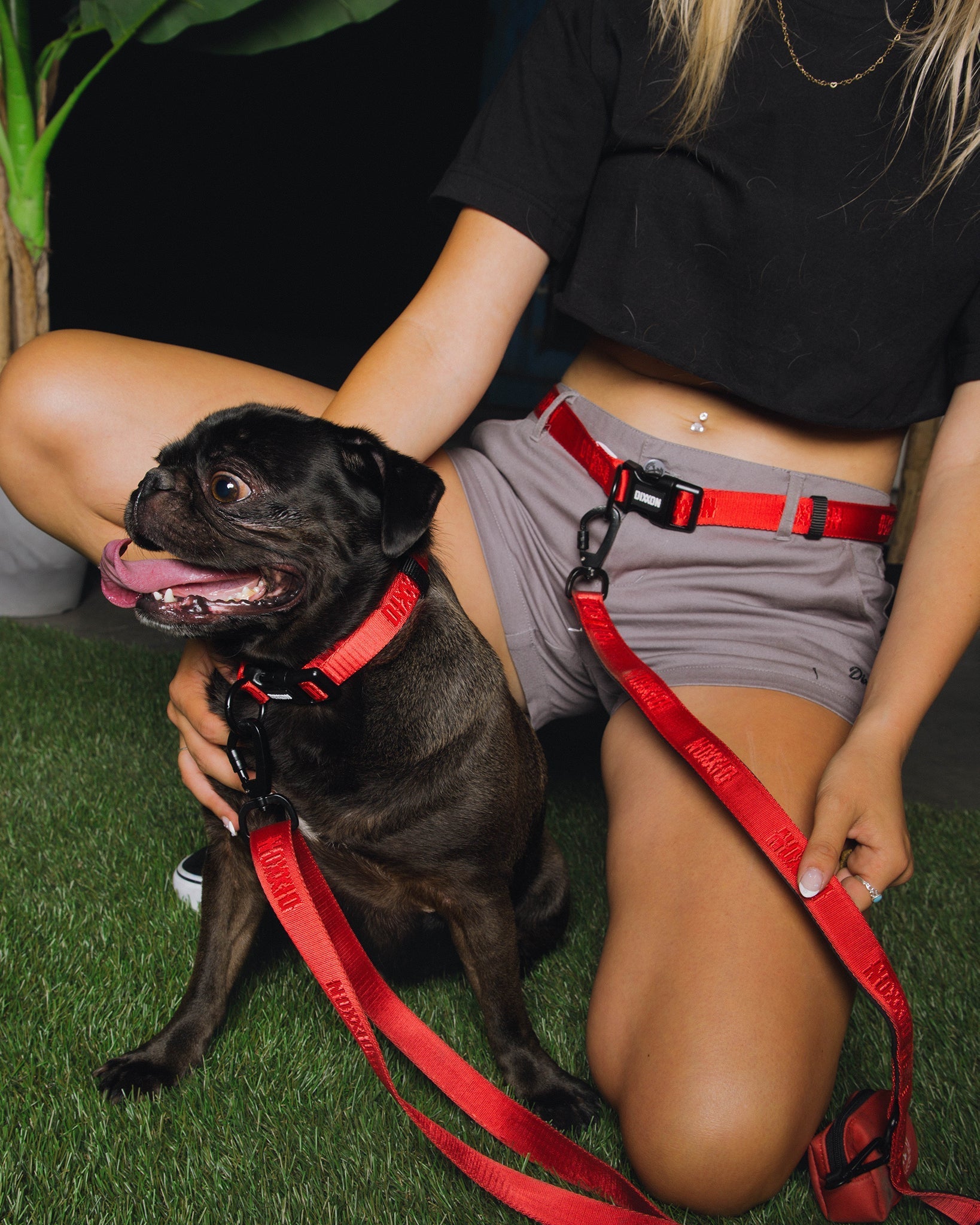 Dixxon Dog Collar - Red