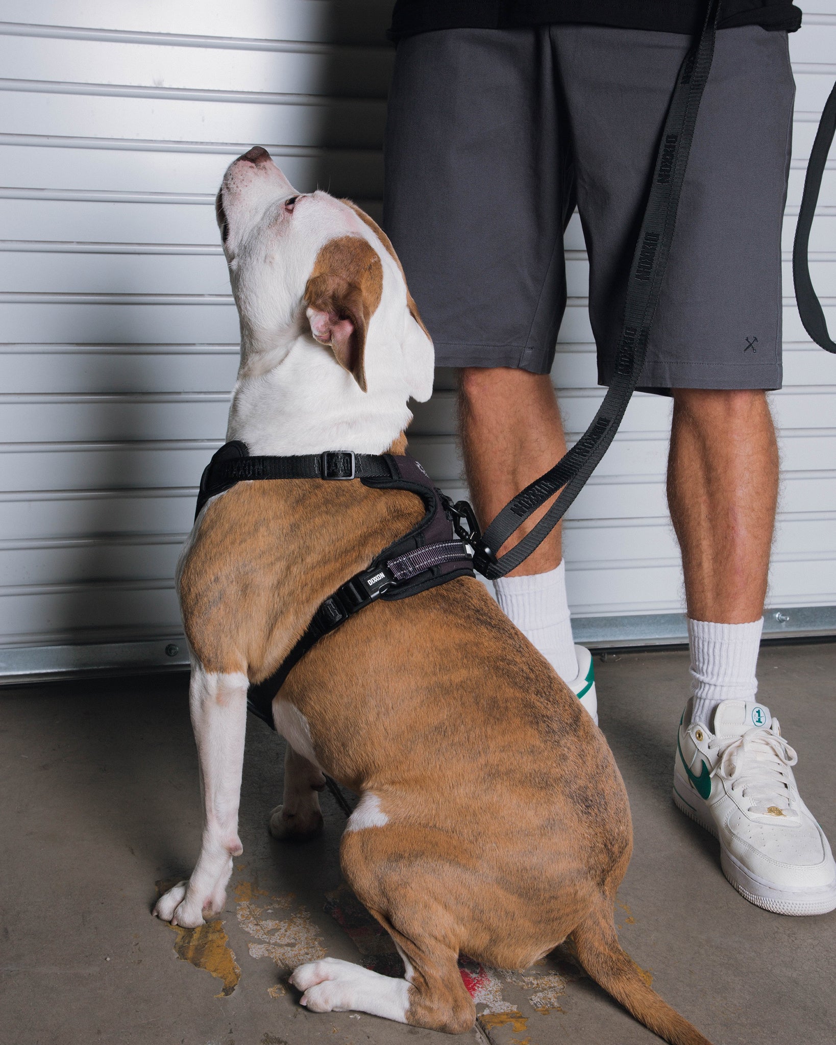 Dixxon Dog Leash - Black