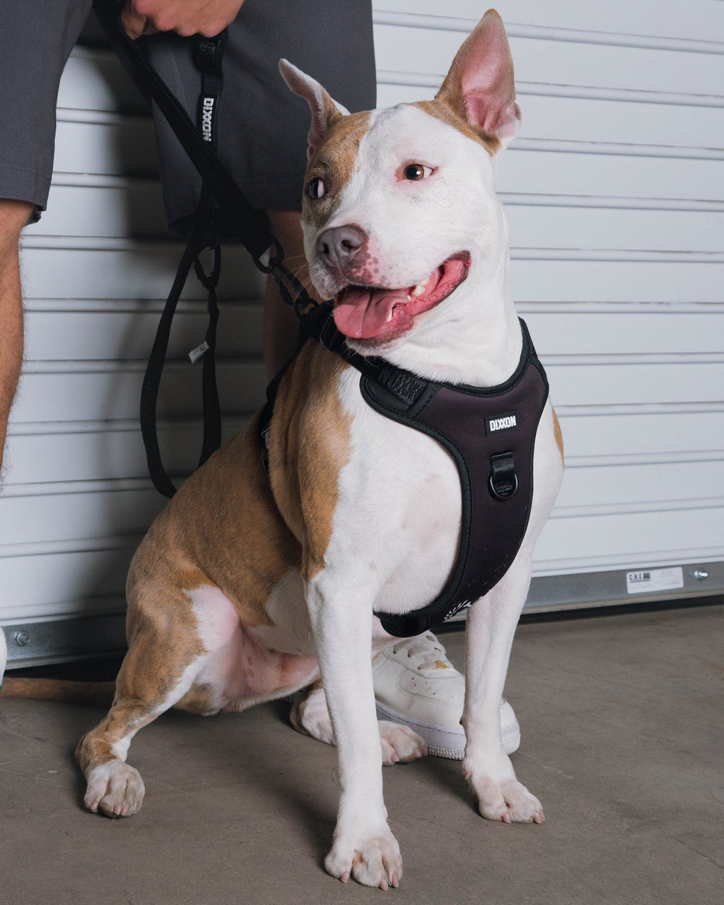 Dixxon Mesh Dog Harness - Black