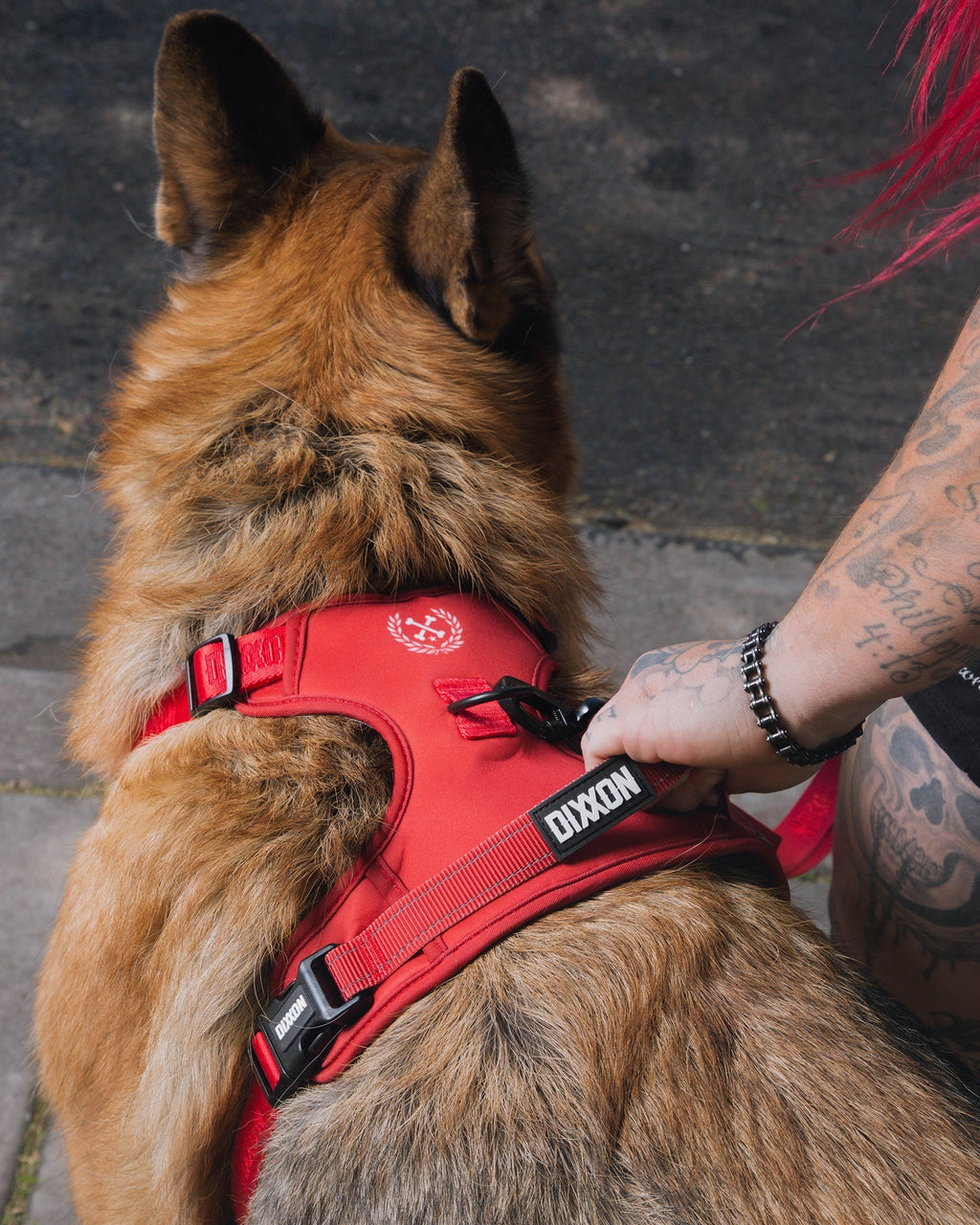 Dixxon Mesh Dog Harness - Red
