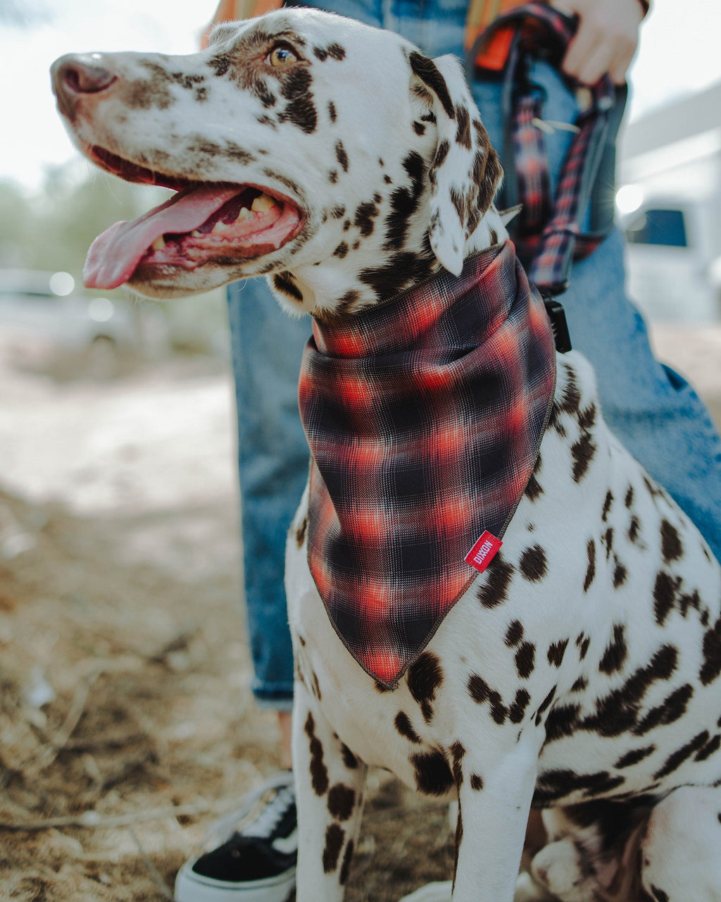 Dog Bandana - Ash