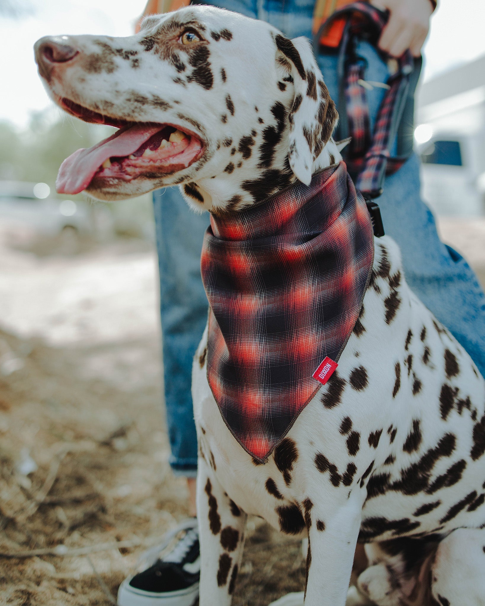 Dog Bandana - Ash