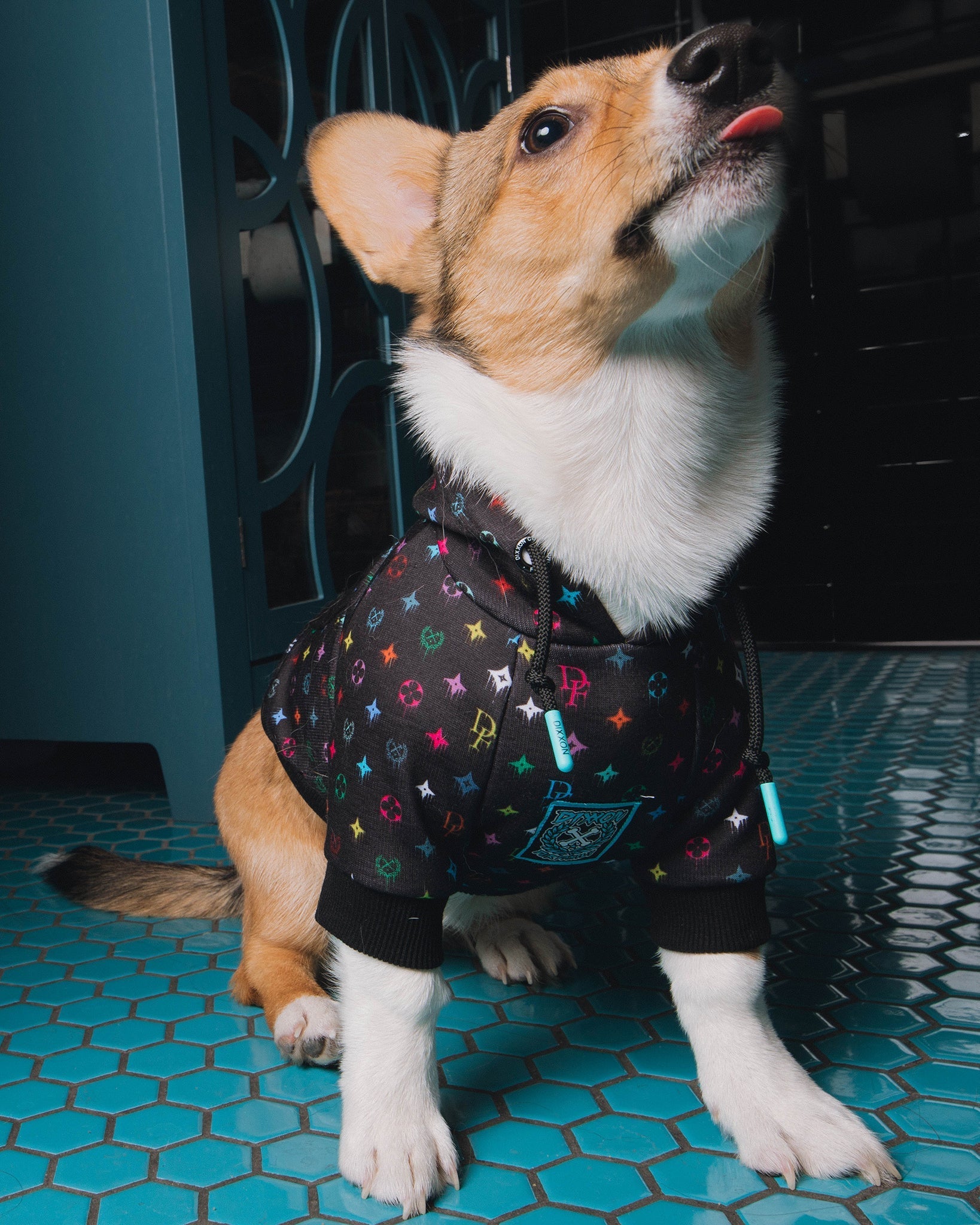 Dog Hoodie - Bougie - Multi Drip