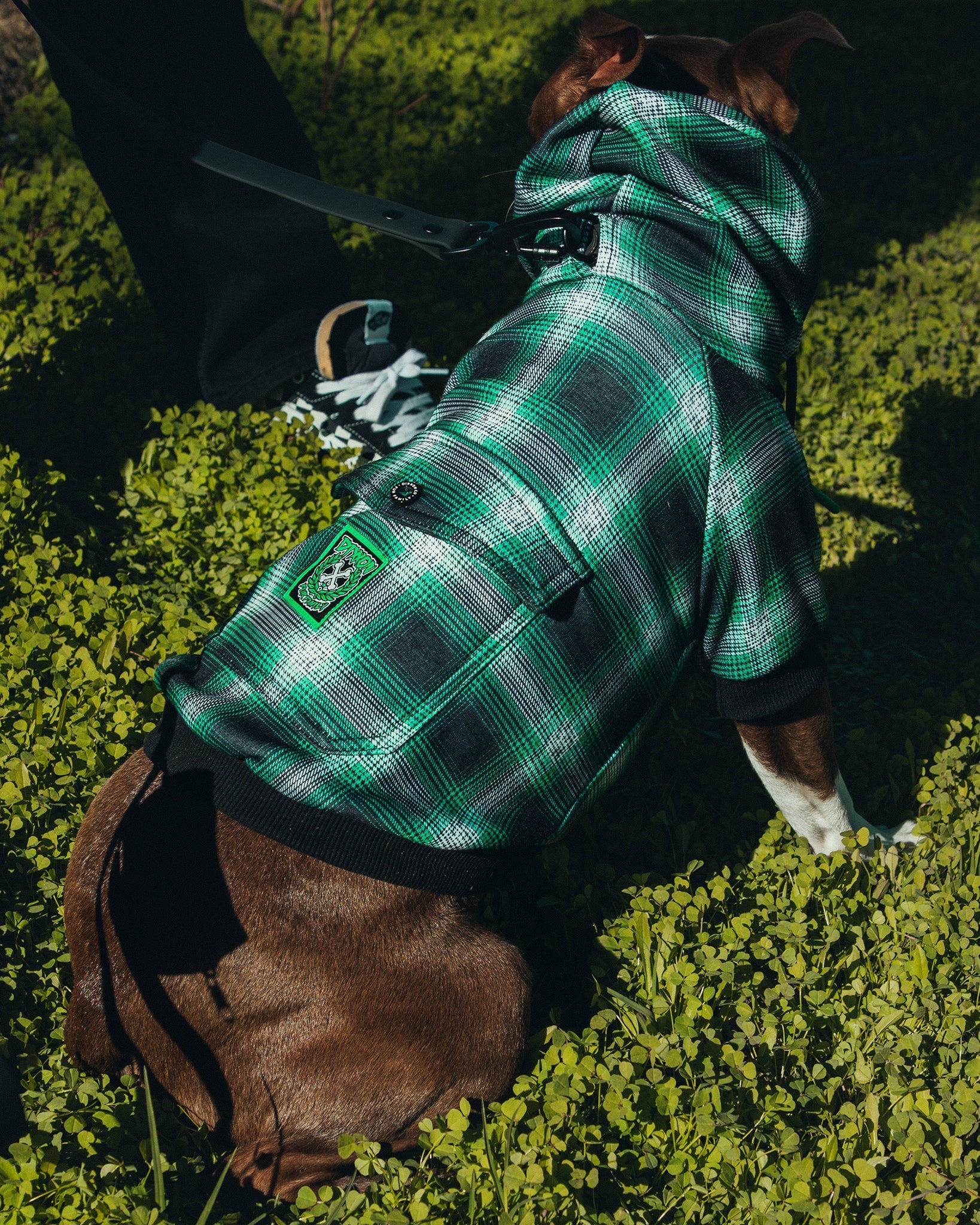 Dog Hoodie - Emerald Isle