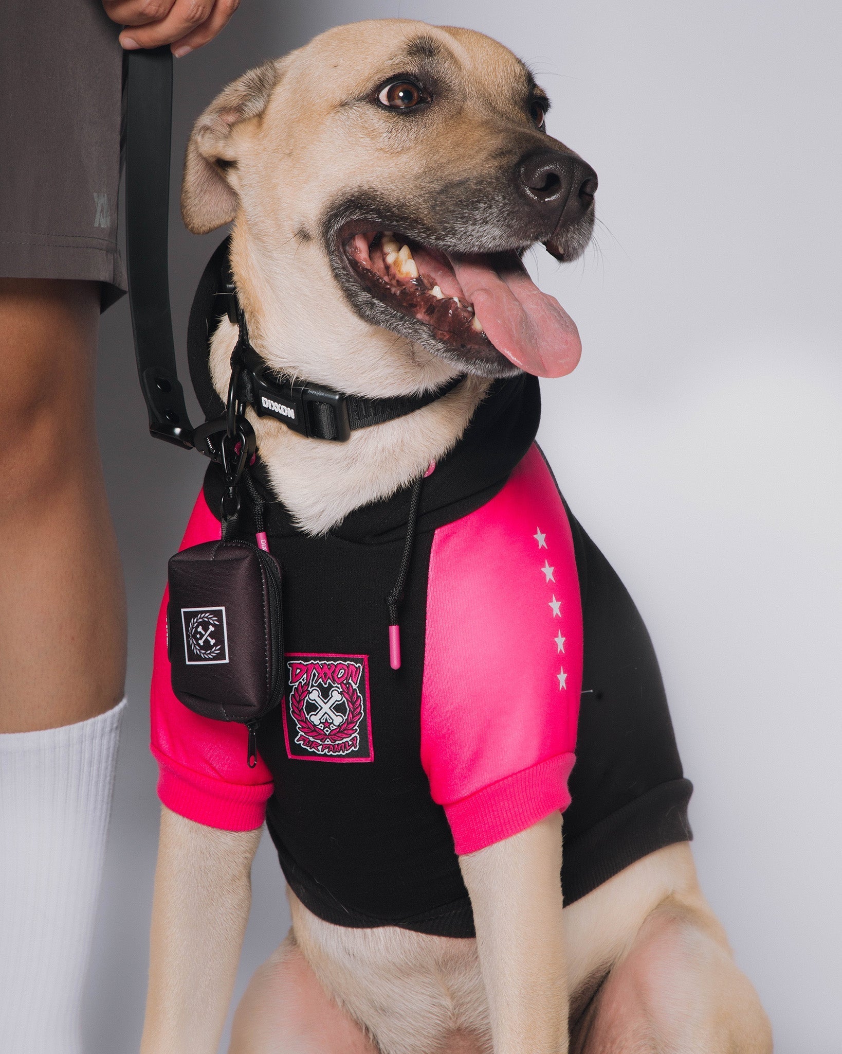Dog Hoodie - Fur Family - Black & Pink