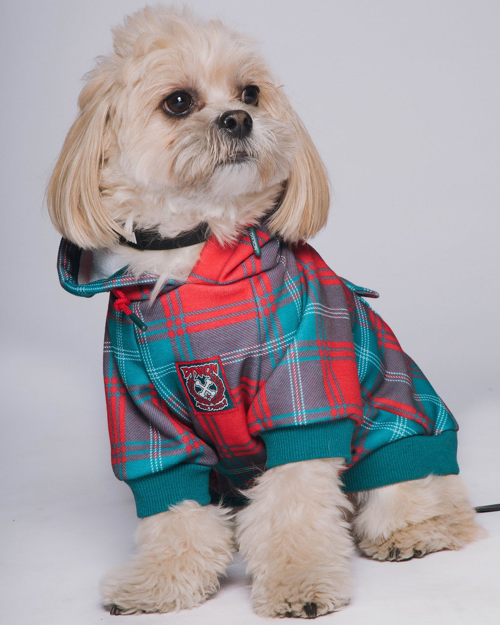 Dog Hoodie - Jingle Bells