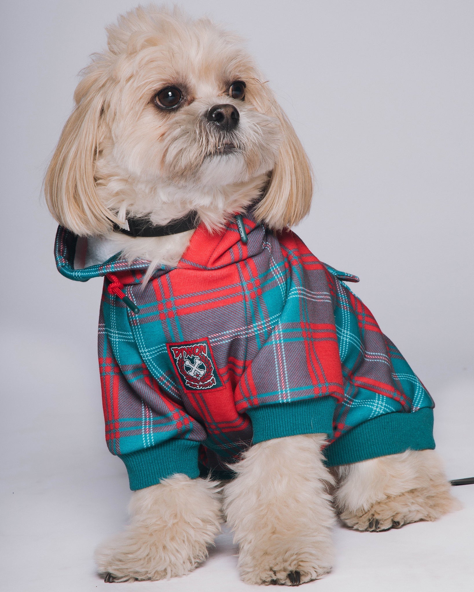 Dog Hoodie - Jingle Bells