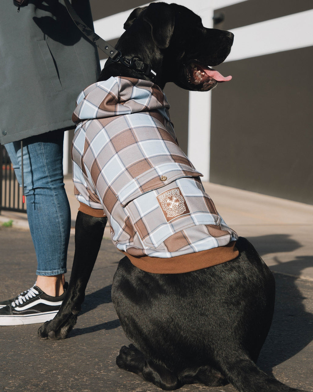 Dog Hoodie - T-Street