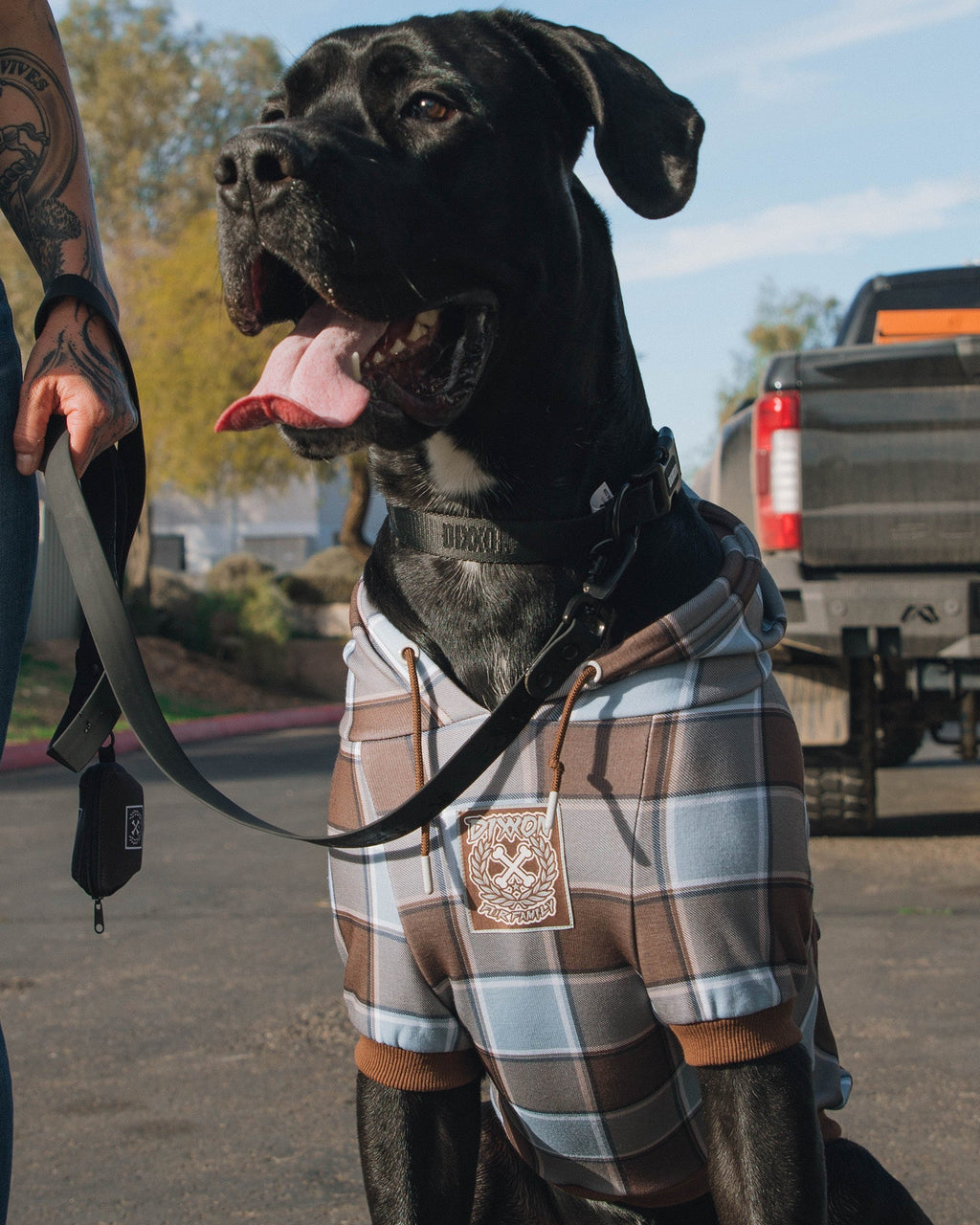 Dog Hoodie - T-Street