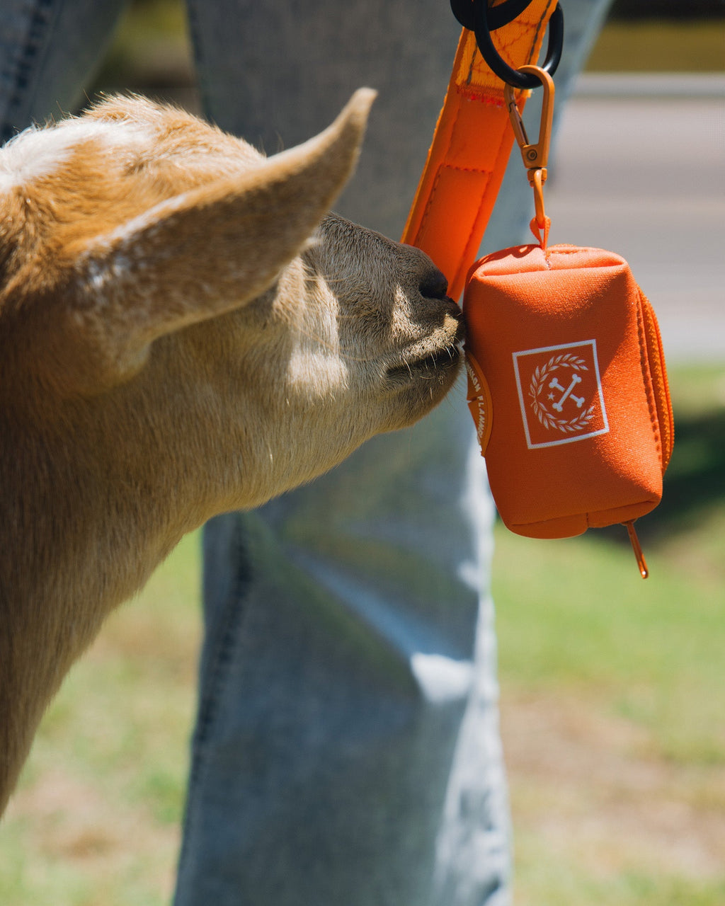 Dog Poop Bag Holder - Floro Orange