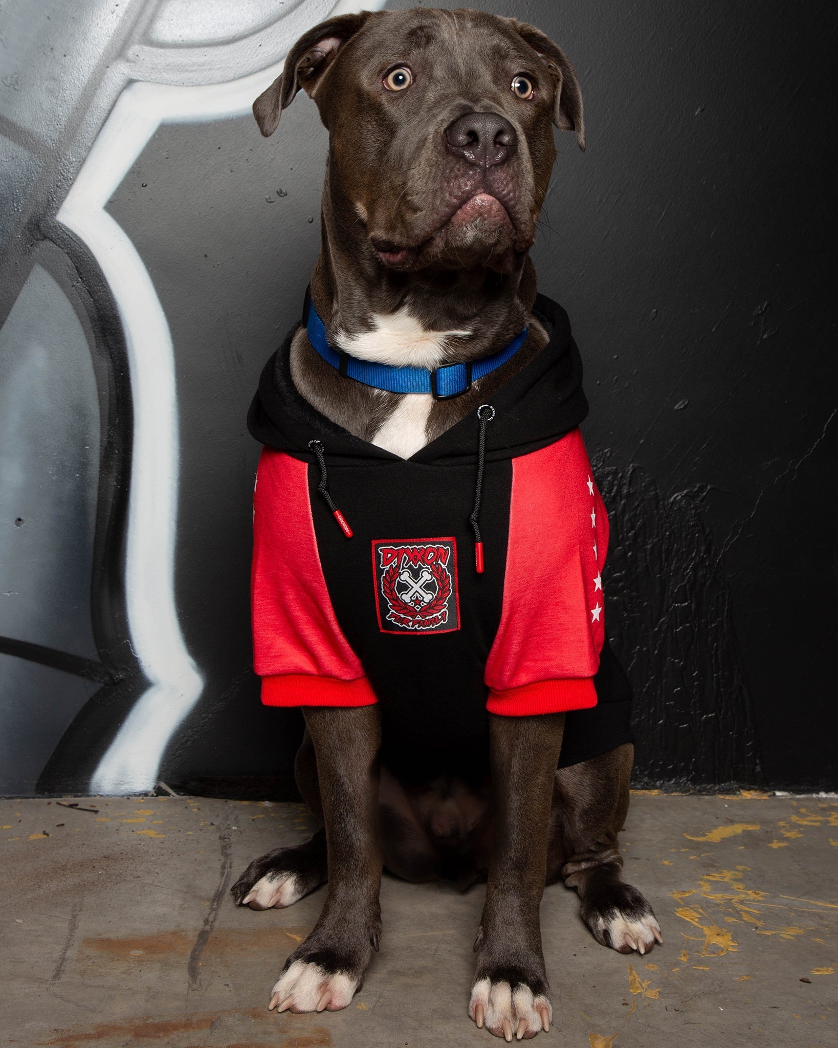 Dog Hoodie - Fur Family - Black & Red