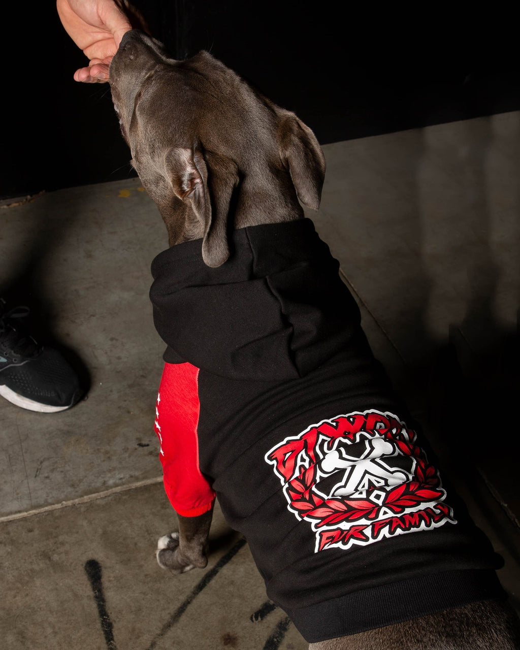 Dog Hoodie - Fur Family - Black & Red