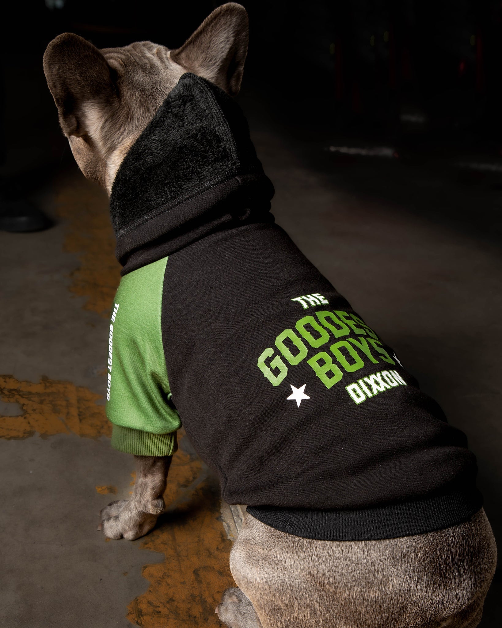 Dog Hoodie - Goodest Boys - Black & Green