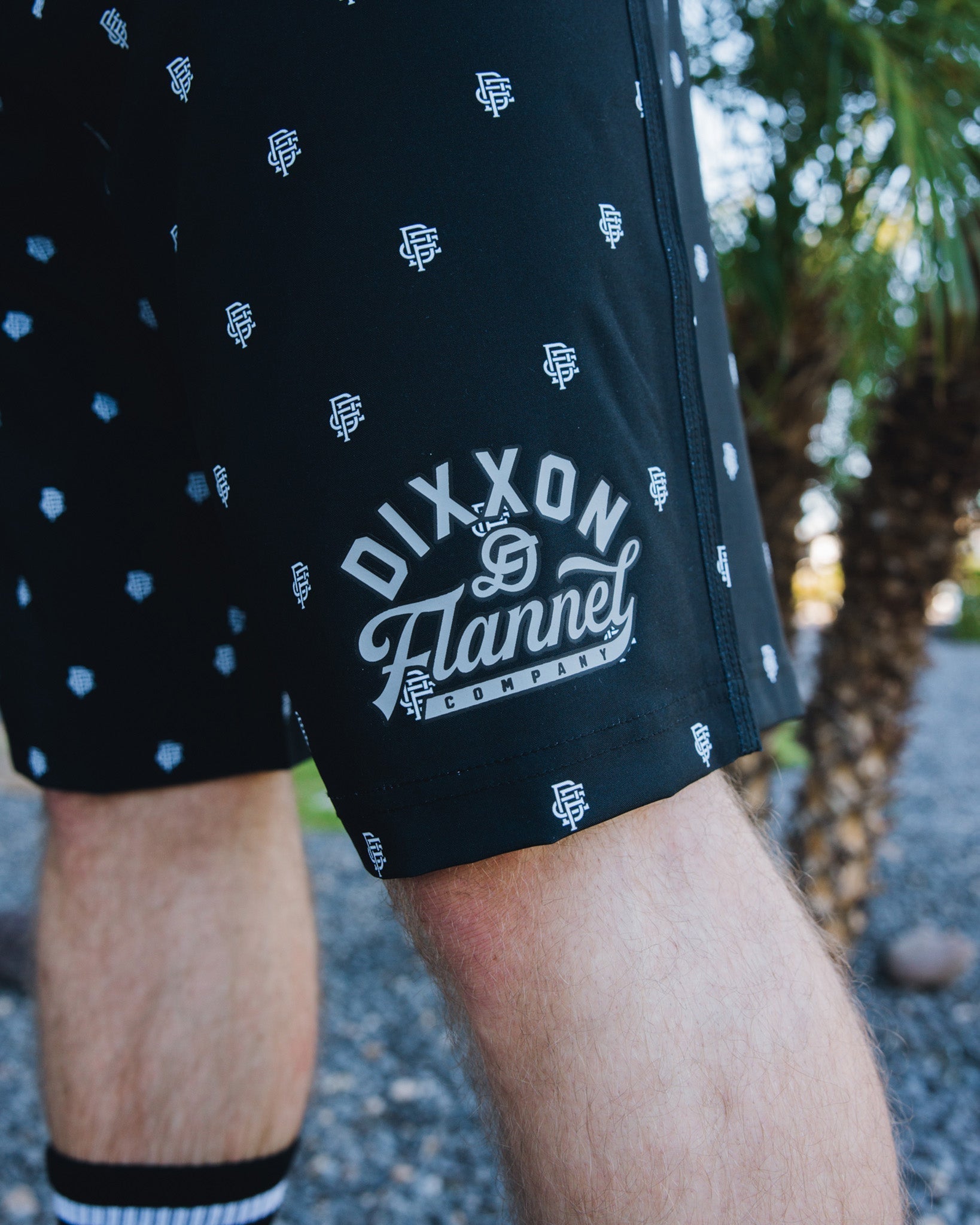 Gray Insignia Boardshorts - Black