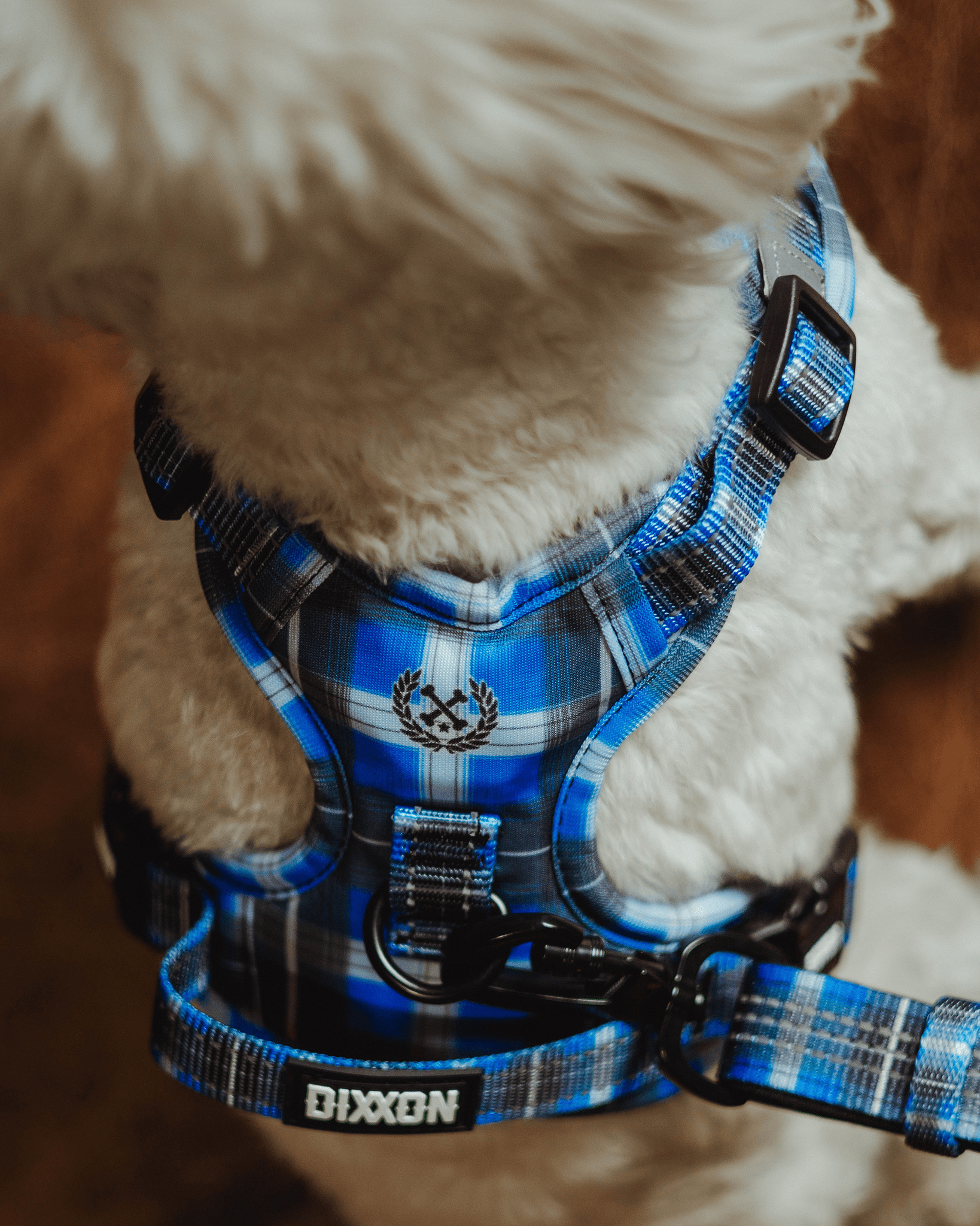 Mesh Dog Harness - Aruba
