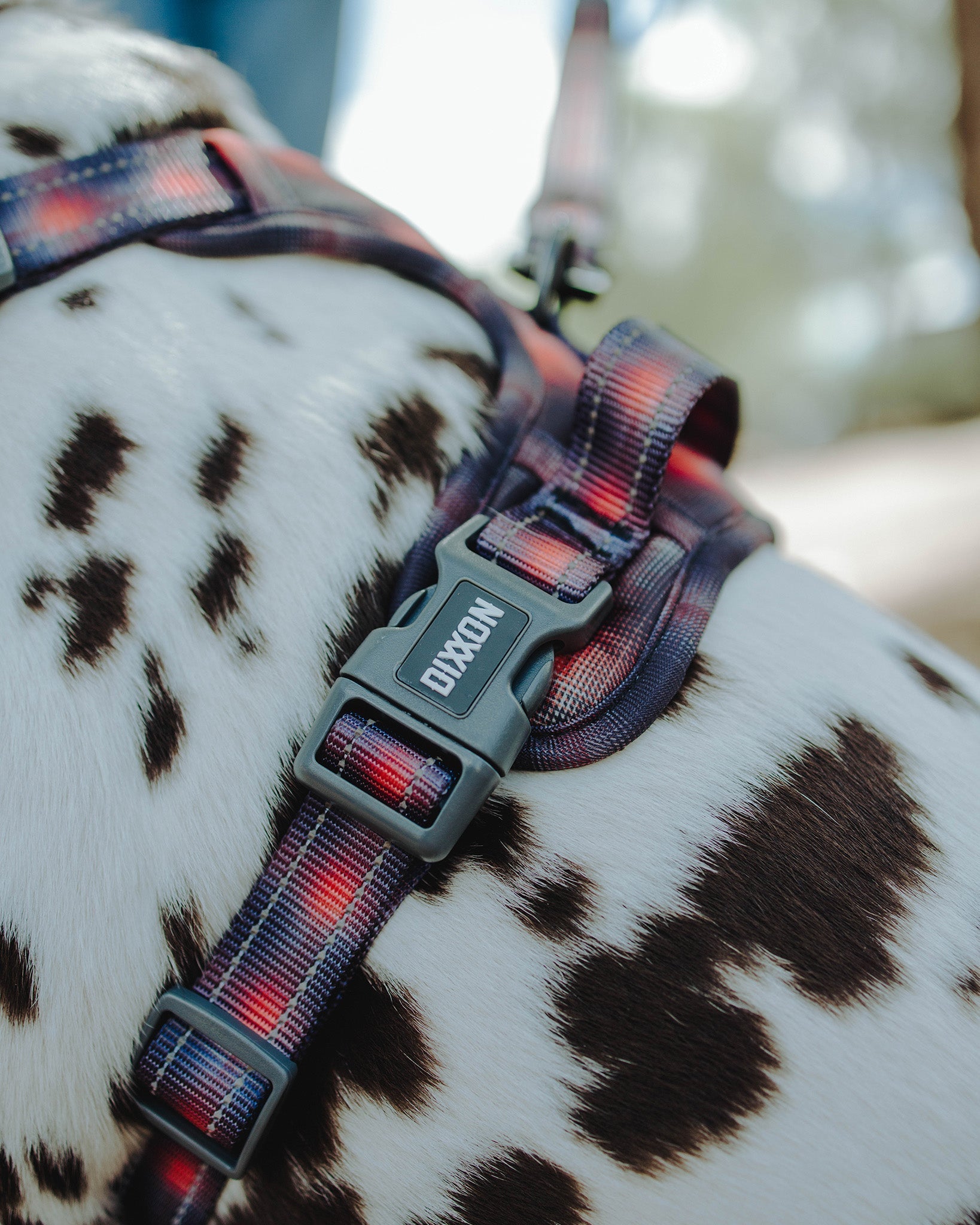 Mesh Dog Harness - Ash