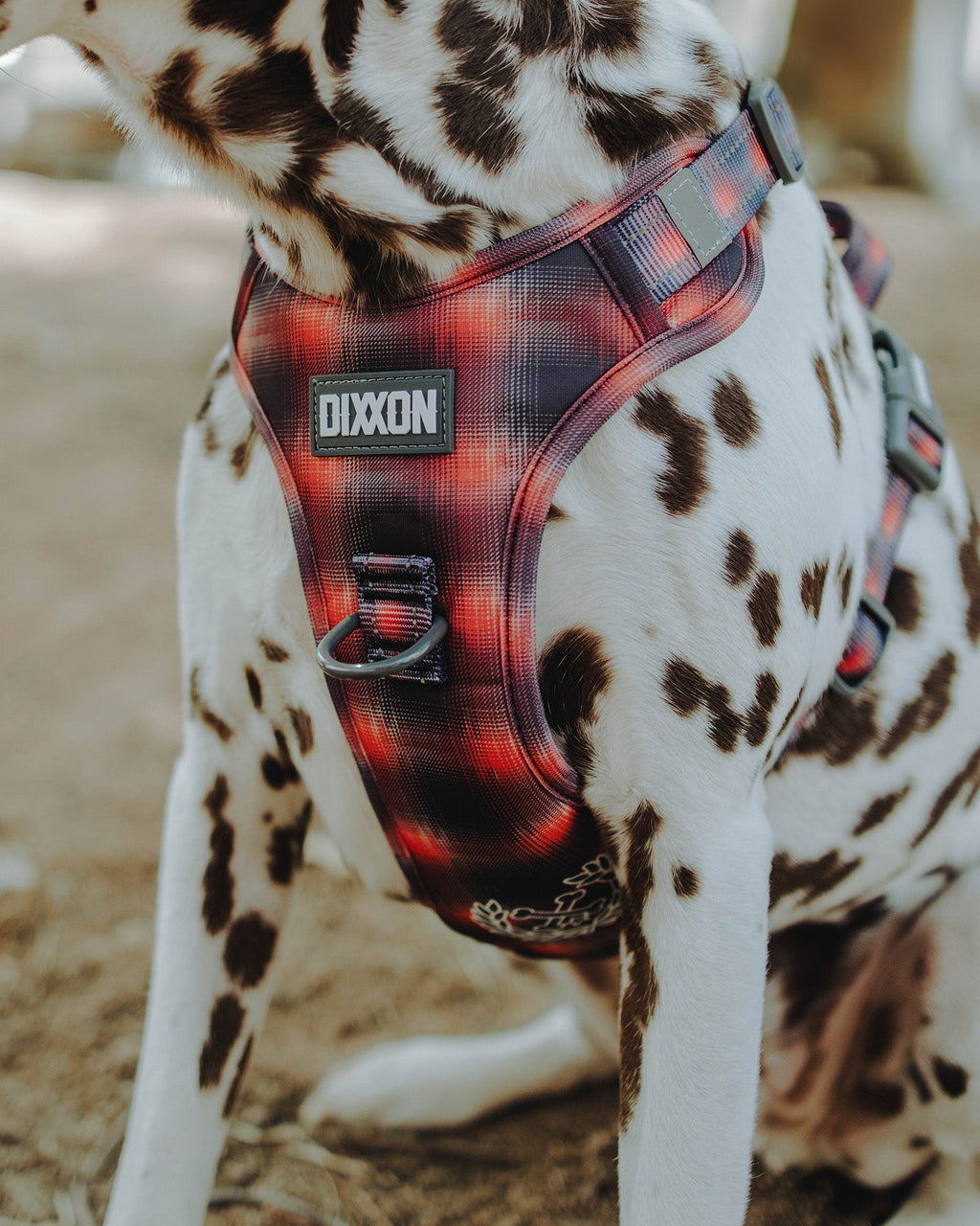 Mesh Dog Harness - Ash