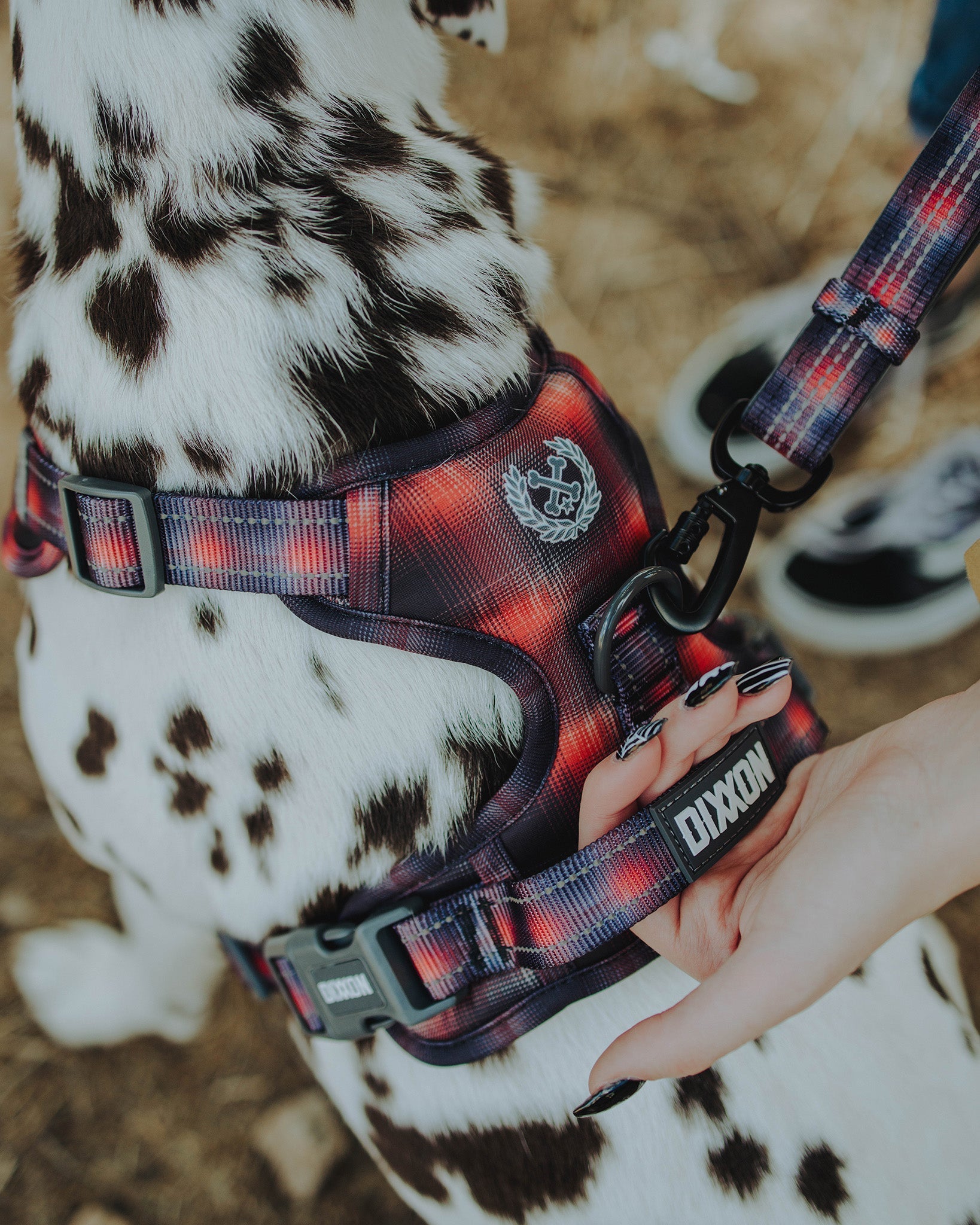 Mesh Dog Harness - Ash