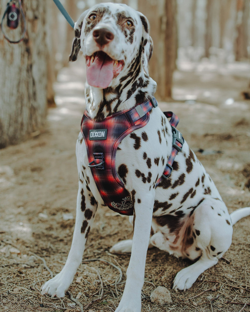Mesh Dog Harness - Ash