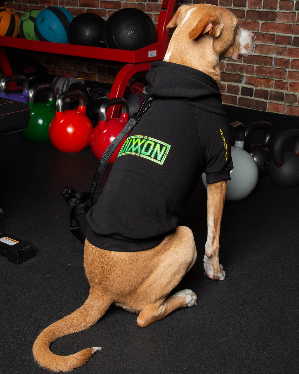 Dog Hoodie - Perro Pinstripe