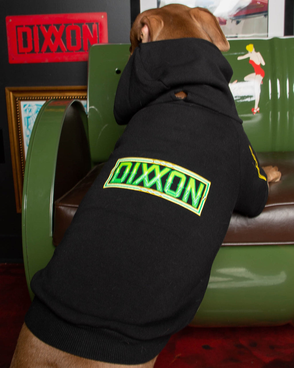 Dog Hoodie - Perro Pinstripe