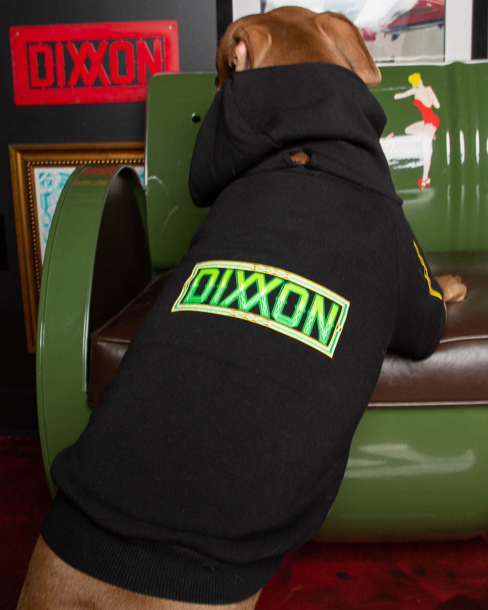 Dog Hoodie - Perro Pinstripe