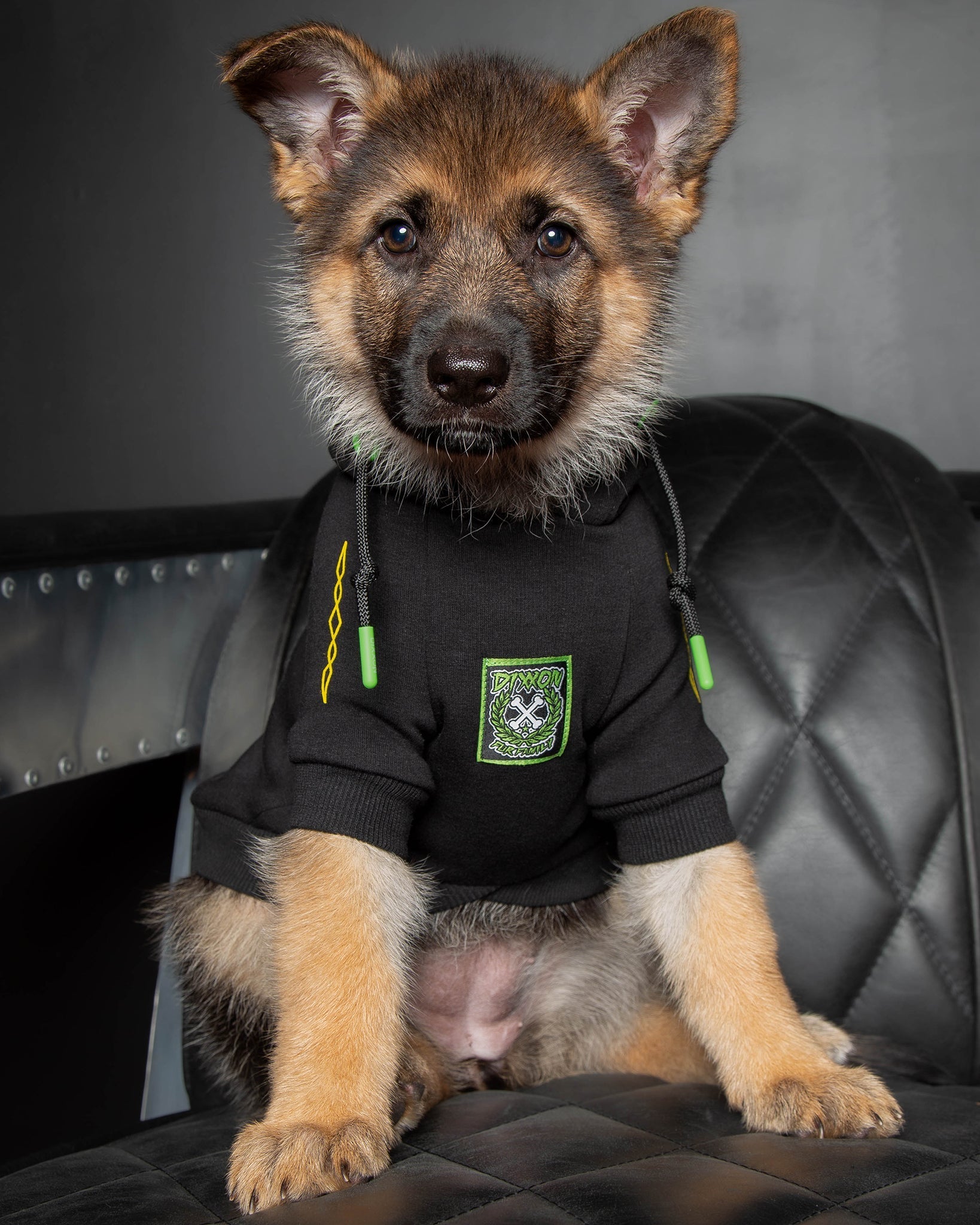 Dog Hoodie - Perro Pinstripe