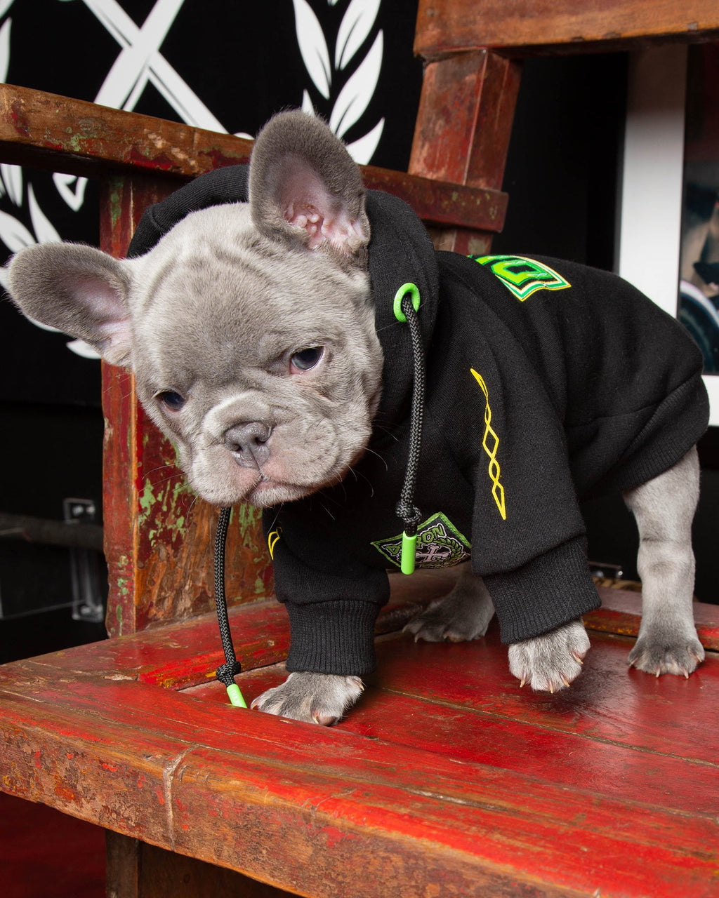 Dog Hoodie - Perro Pinstripe
