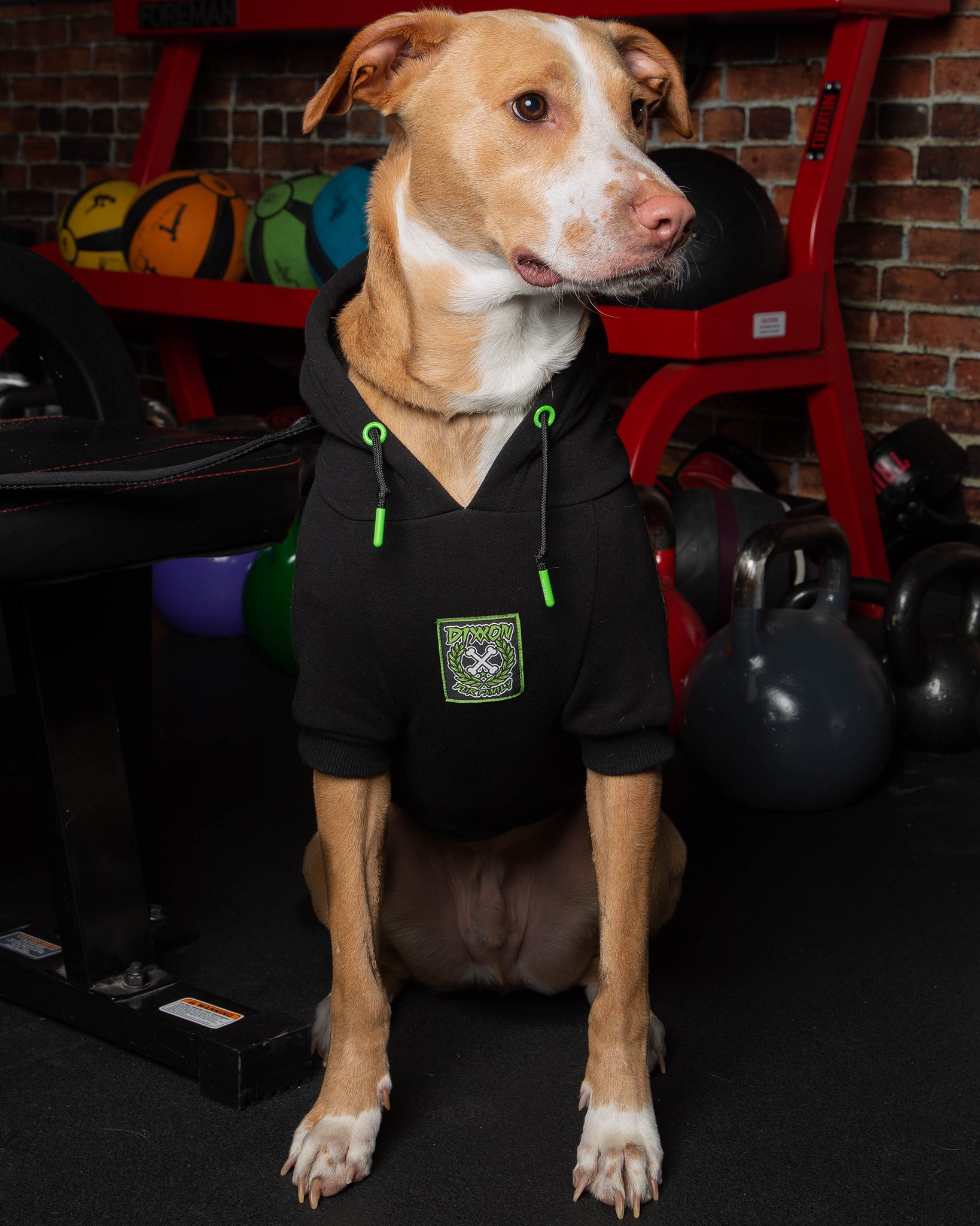 Dog Hoodie - Perro Pinstripe