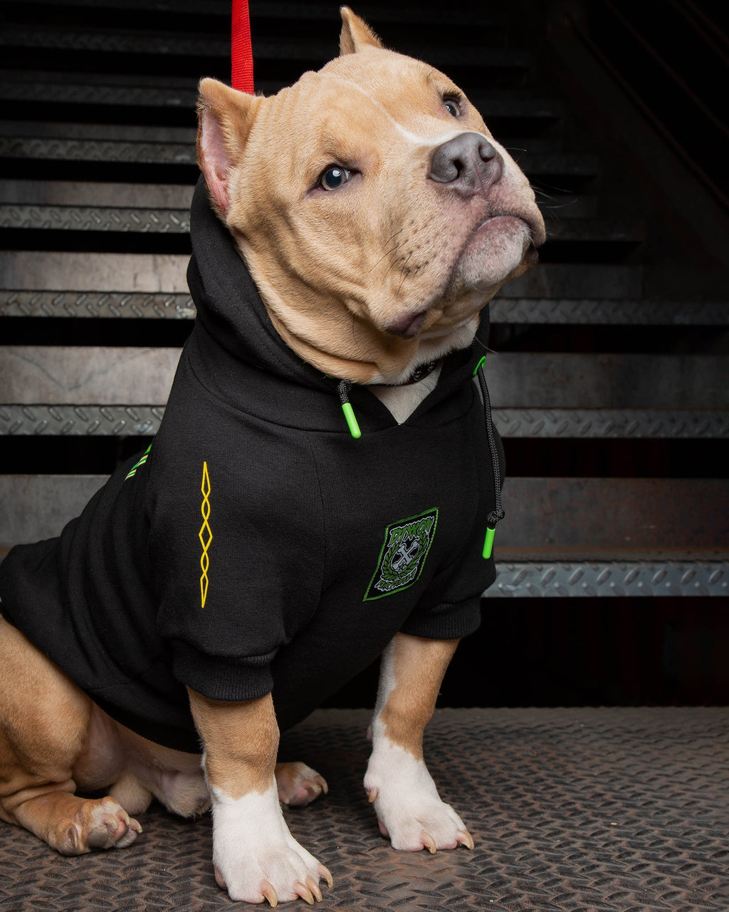 Dog Hoodie - Perro Pinstripe