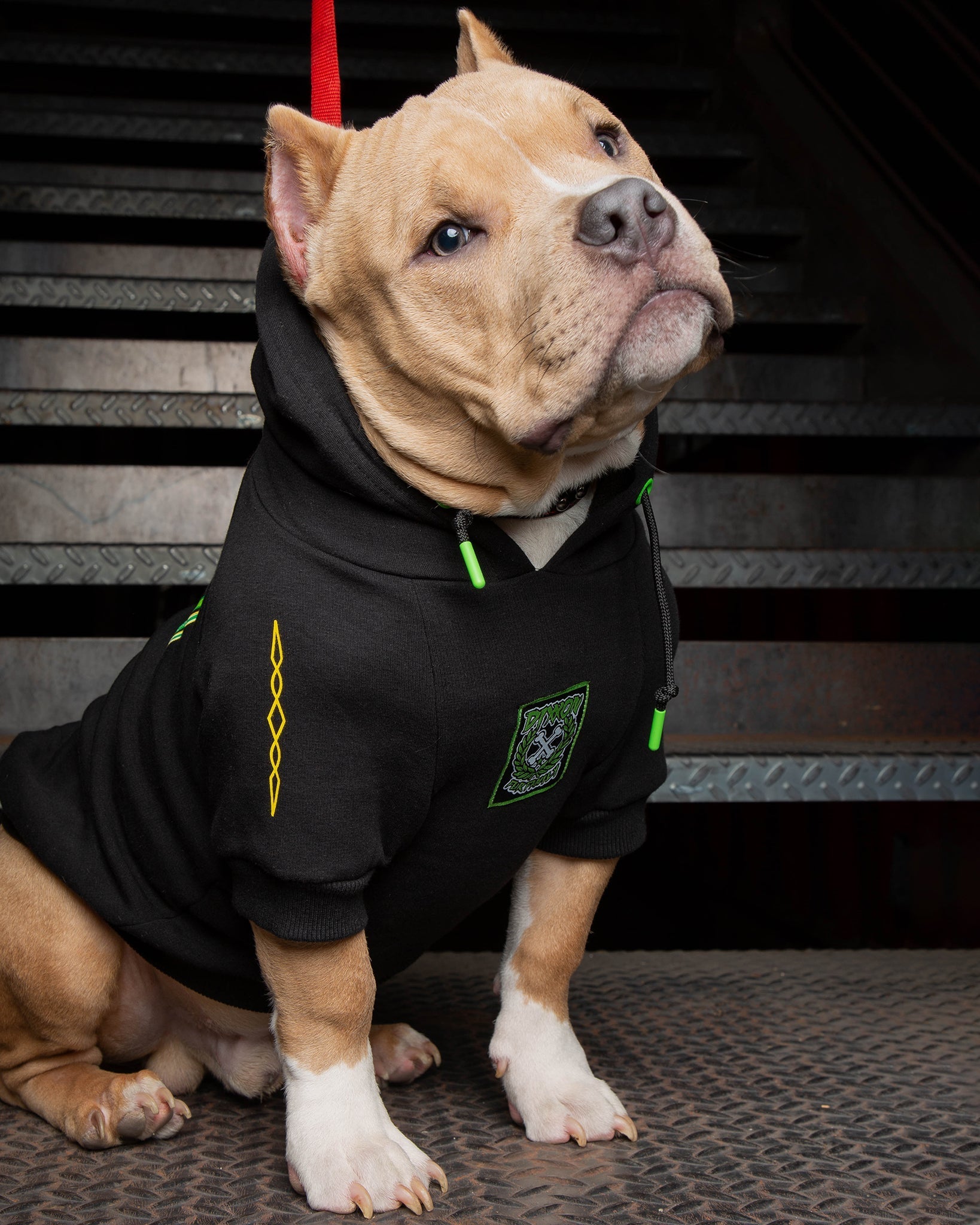 Dog Hoodie - Perro Pinstripe