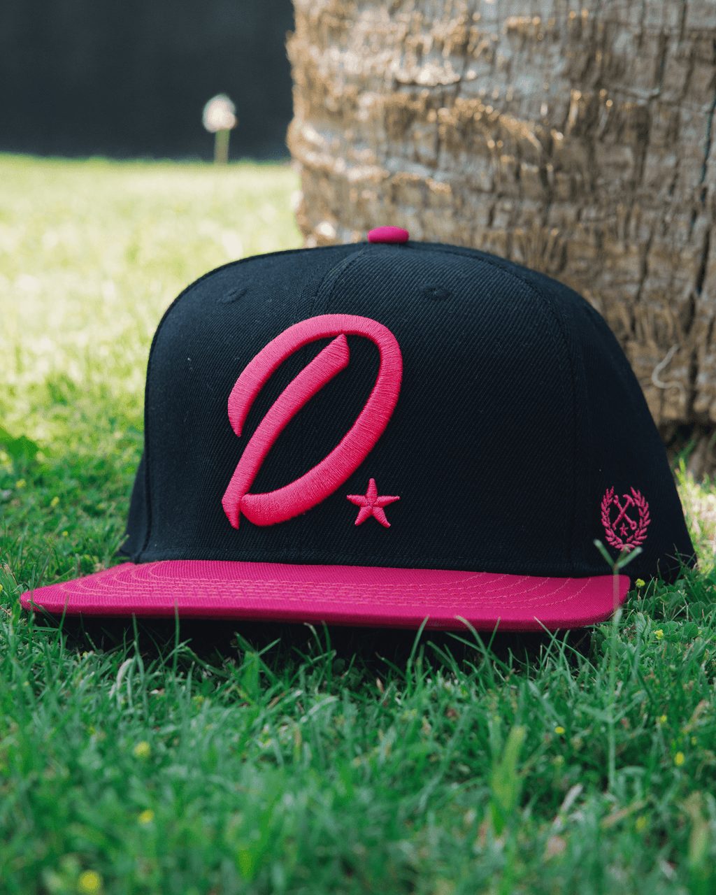 Pink D-Star Flat Bill Snapback - Black