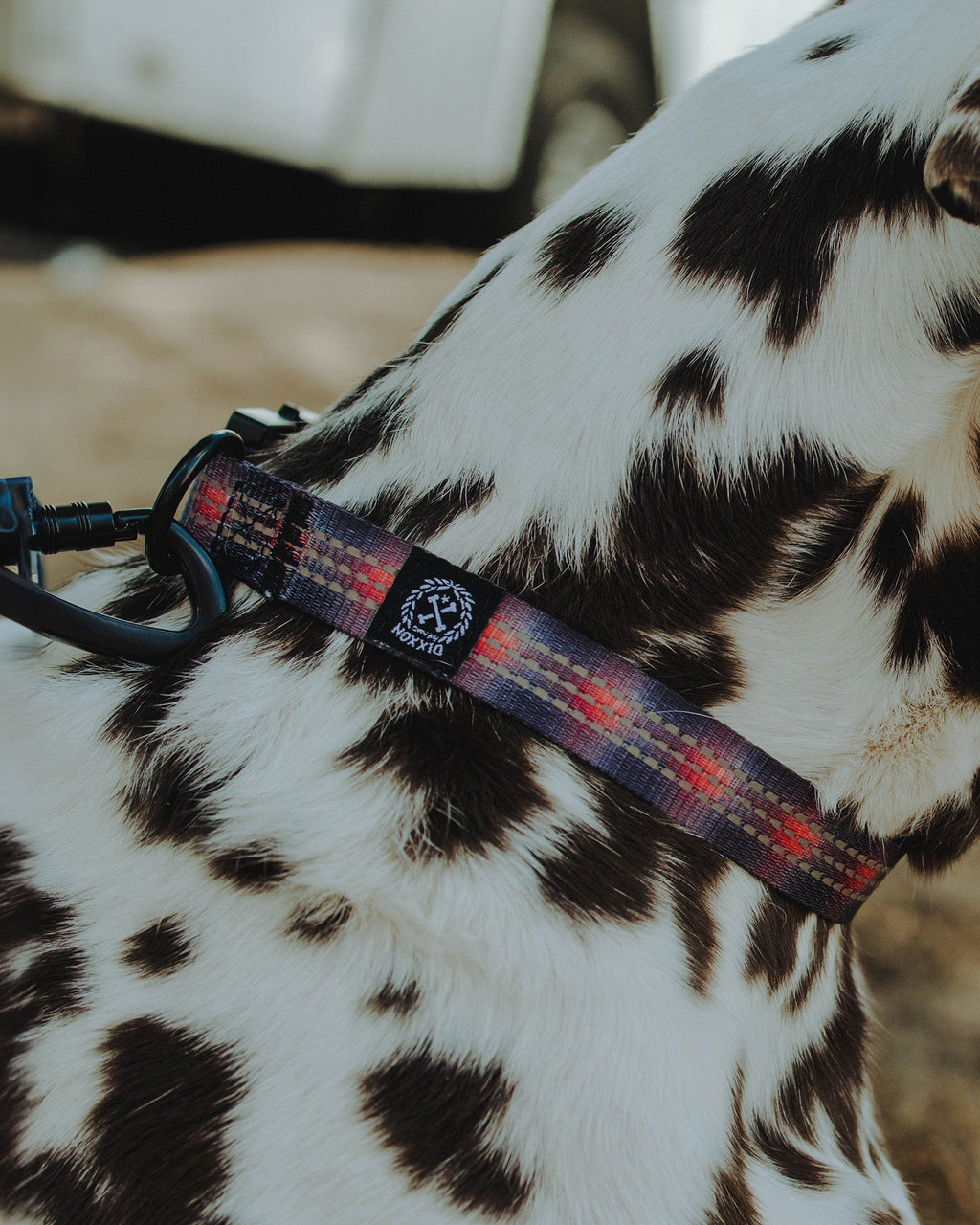 Polyester Dog Collar - Ash