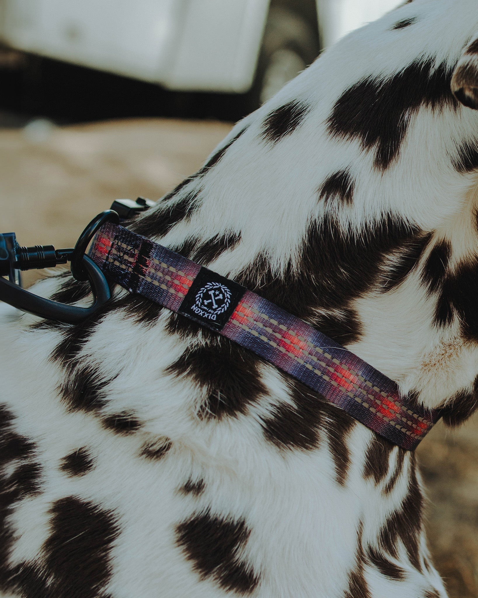 Polyester Dog Collar - Ash