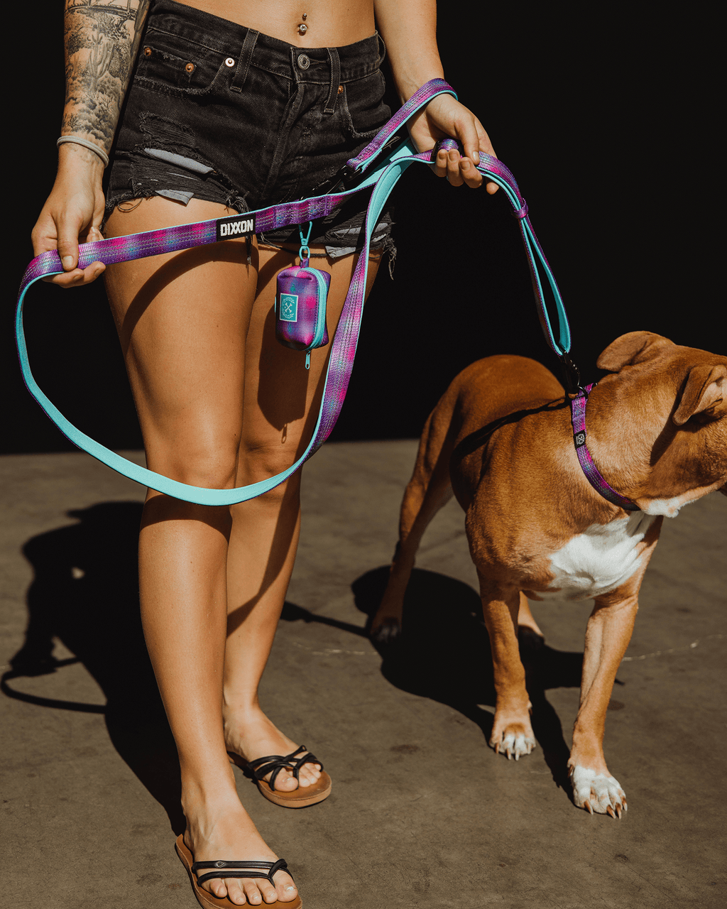 Polyester Dog Leash - Aqua & Pink