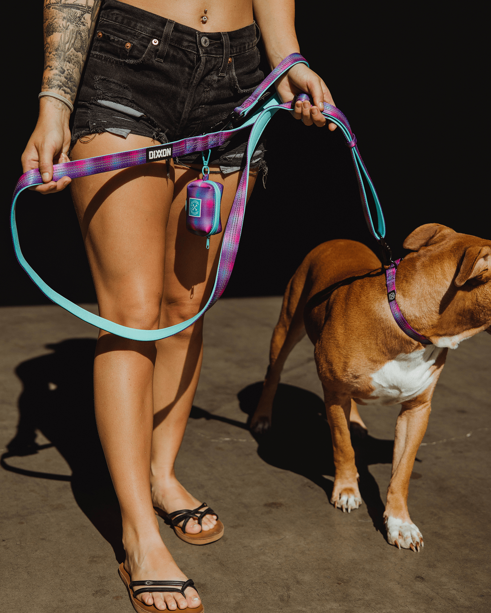 Polyester Dog Leash - Aqua & Pink