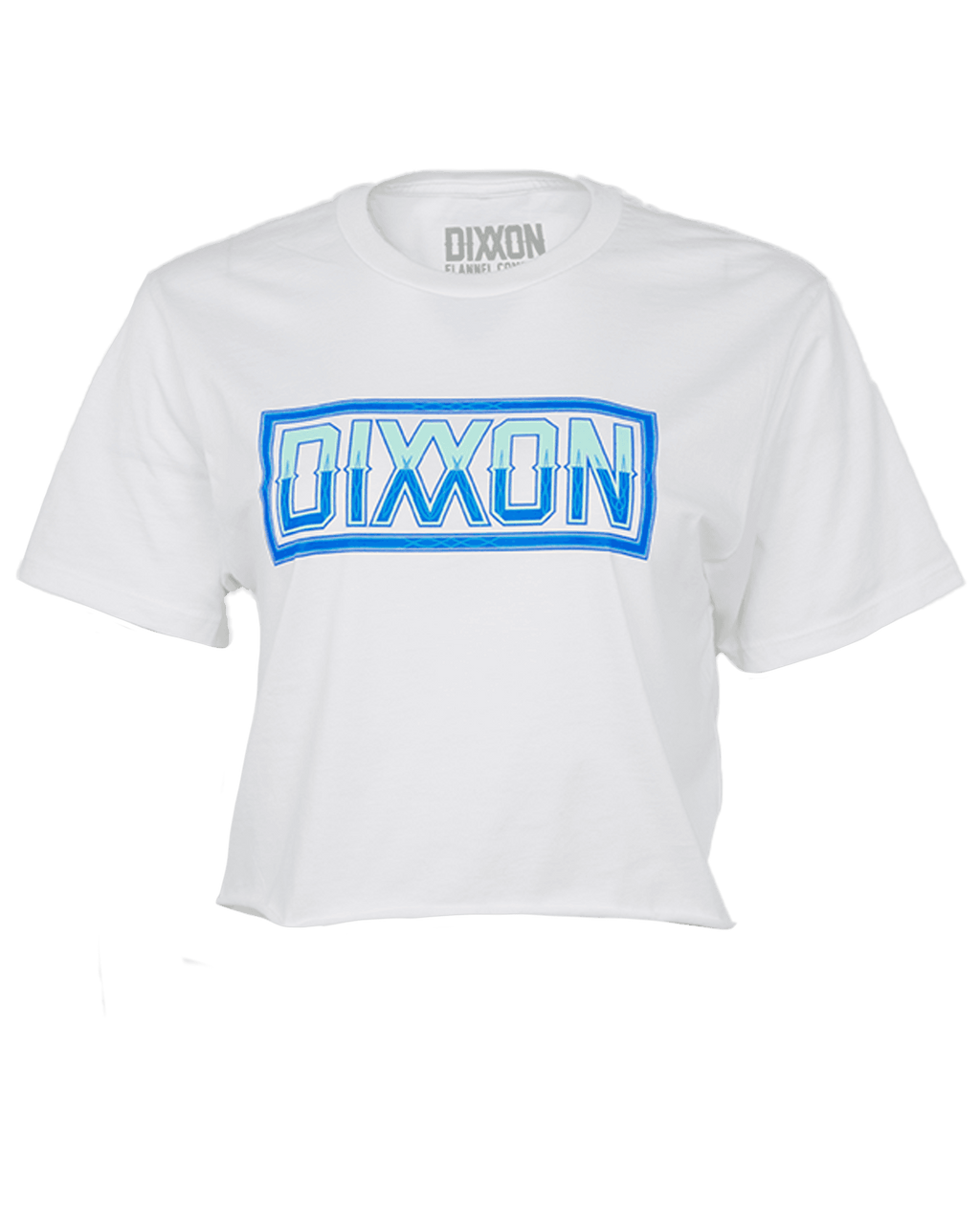 Women's Pinstripe Crop Top - Blue