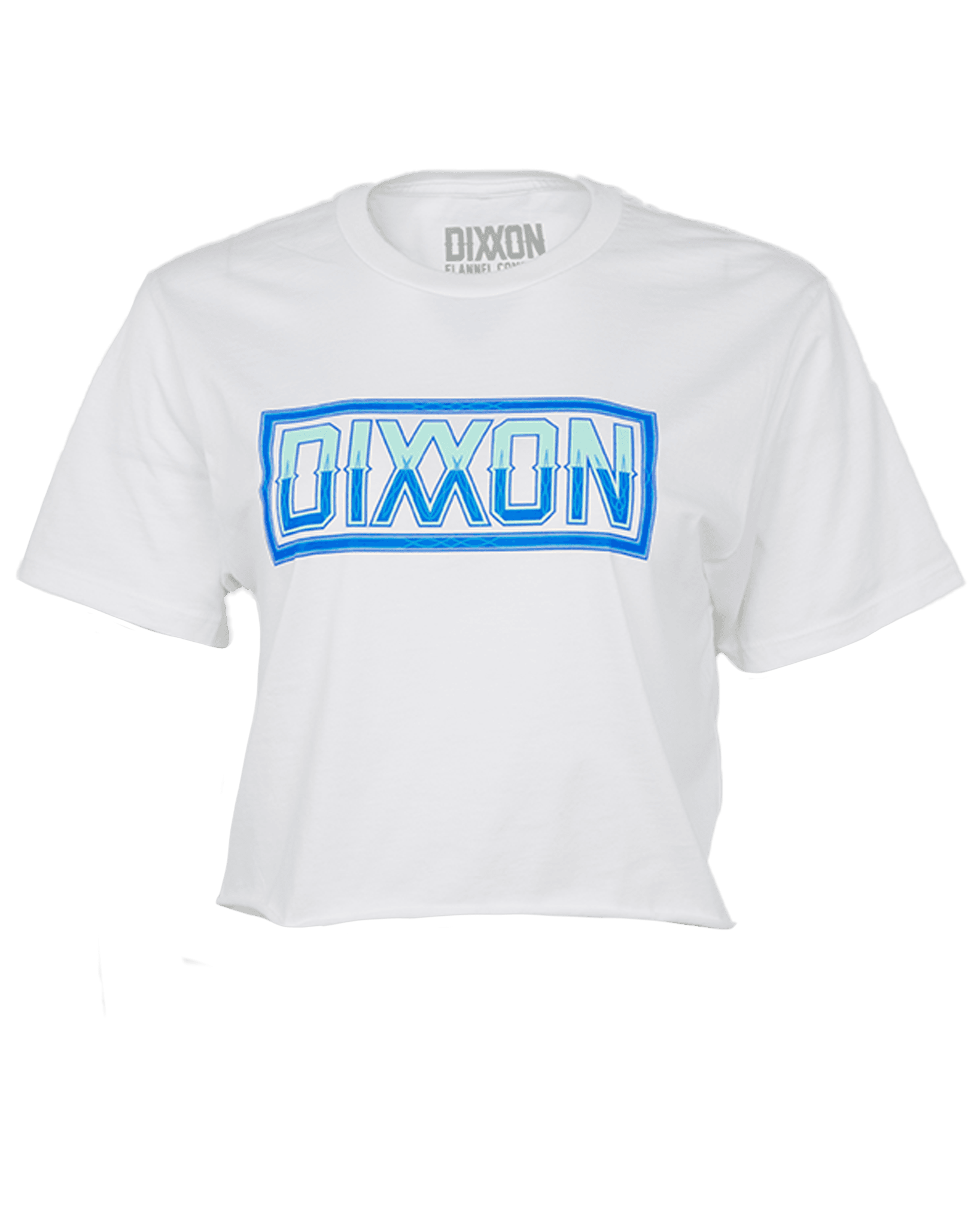 Women's Pinstripe Crop Top - Blue